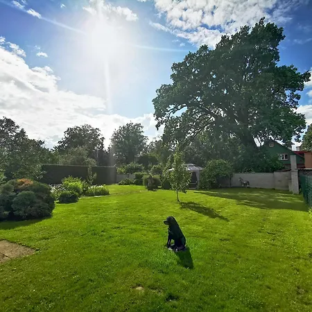 Suur - Posti Appartamento Pärnu