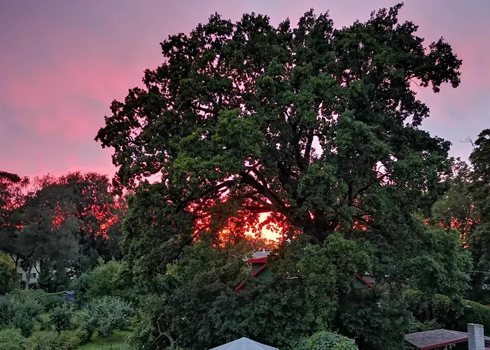 Suur - Posti Appartamento *